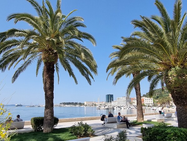 المنطقة المحيطة بالمنشأة