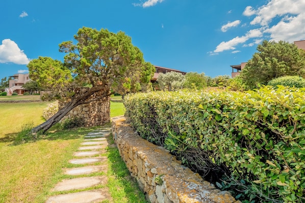 Un chemin de pierres qui mène à un bâtiment, avec un grand arbre et une haie.