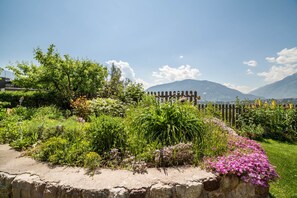Ein Garten mit unterschiedlichen Pflanzen und Blumen, ein Holzzaun und Berge im Hintergrund.