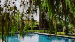 A swimming pool with clear blue water, surrounded by greenery and a tiled deck.