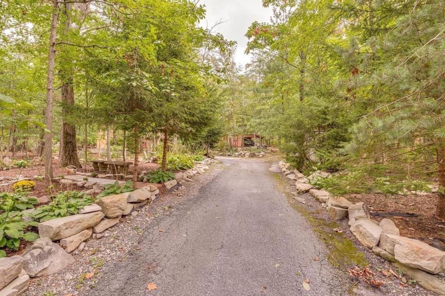 Un sendero pavimentado bordeado de piedras y abundante vegetación, que conduce a una construcción rústica en un bosque.