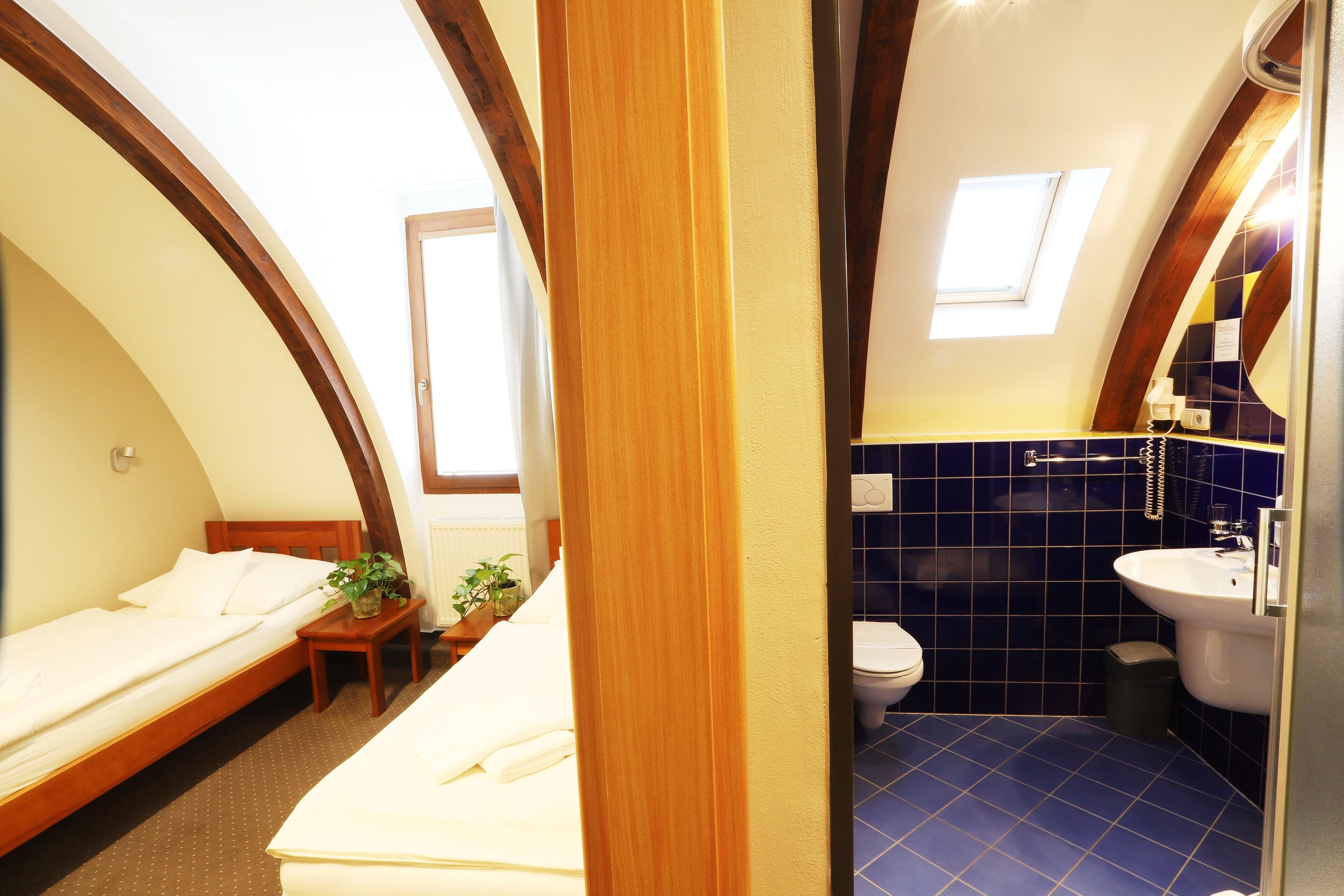 A compact bedroom with a single bed, a bedside table with a plant, and a small table with a chair.