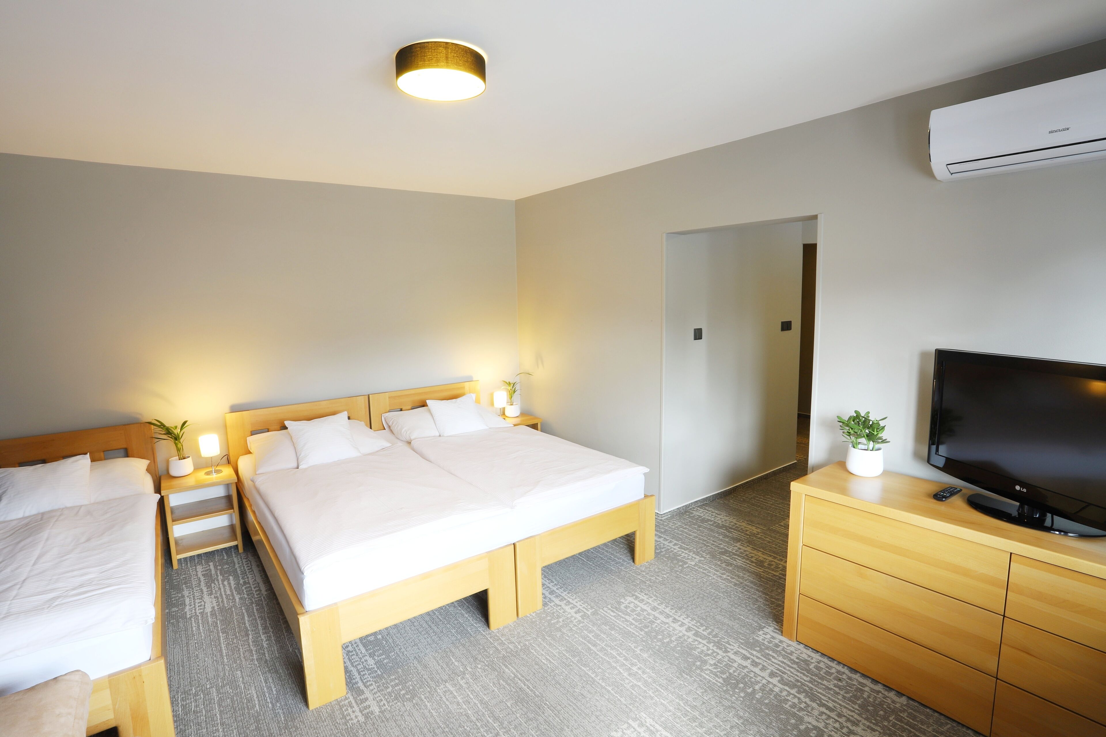 A hotel room with two single beds, a wooden dresser with a TV, a small plant, and a ceiling light.