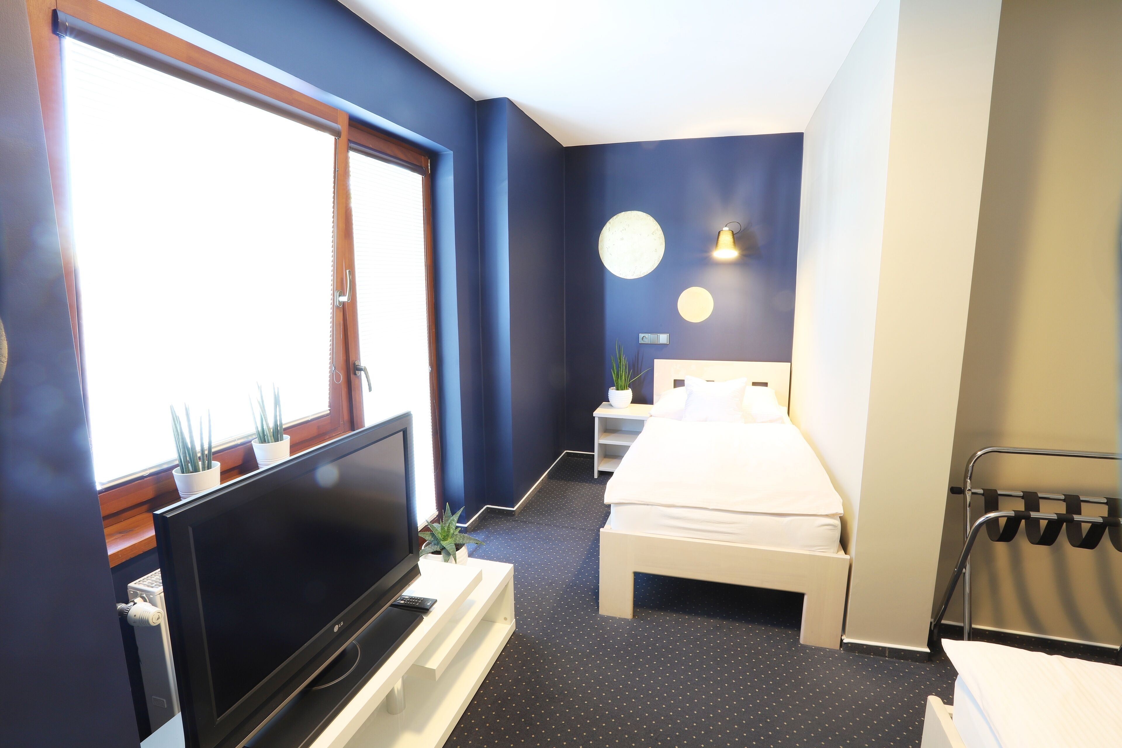 A hotel room with a bed, a TV, a desk, and a window with plants.