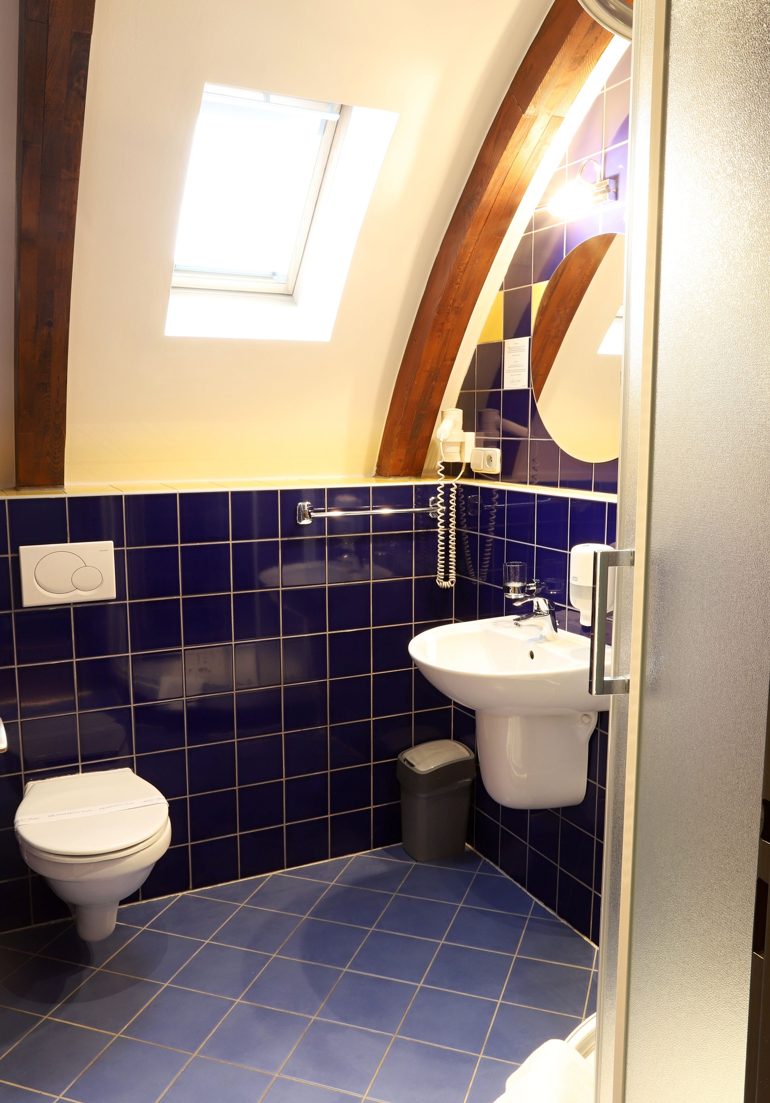 A bathroom with a skylight, a white sink, and a toilet.