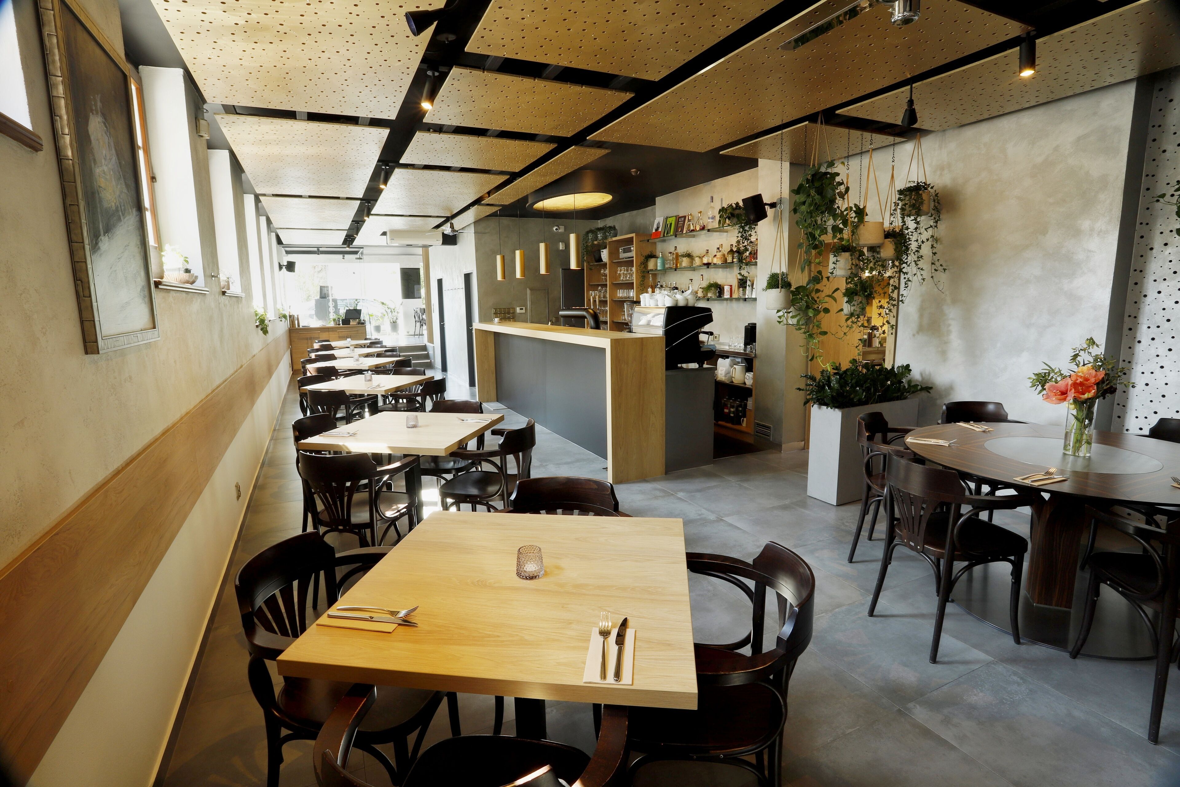 L’intérieur d’un restaurant est aménagé avec des tables et des chaises en bois, un coin bar et des plantes suspendues.