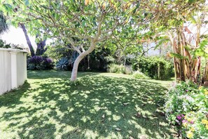 Un jardin bien entretenu, avec un arbre, de la pelouse et diverses plantes.