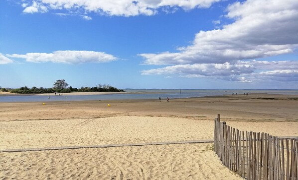 Playa en los alrededores 