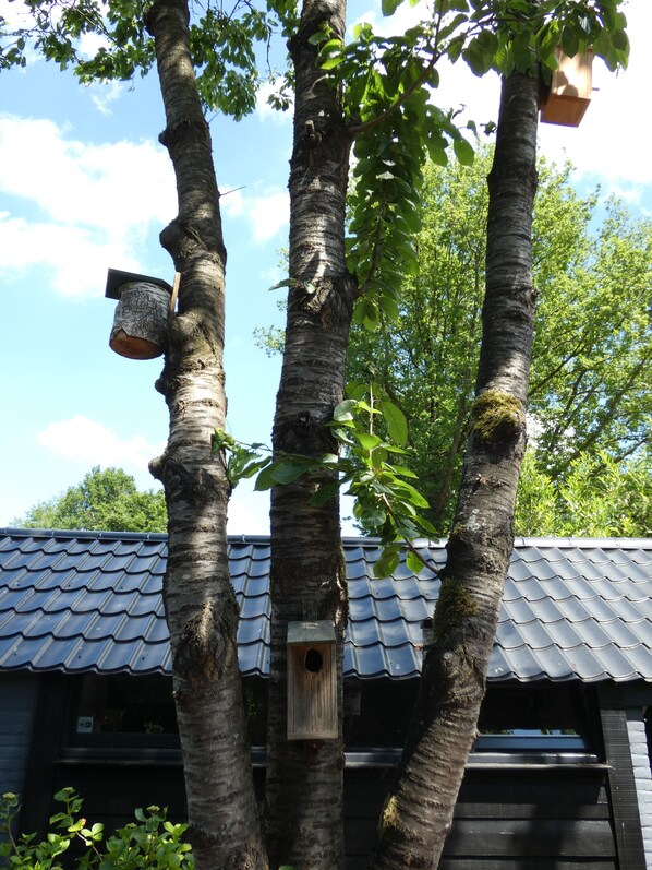 Details aan de buitenkant