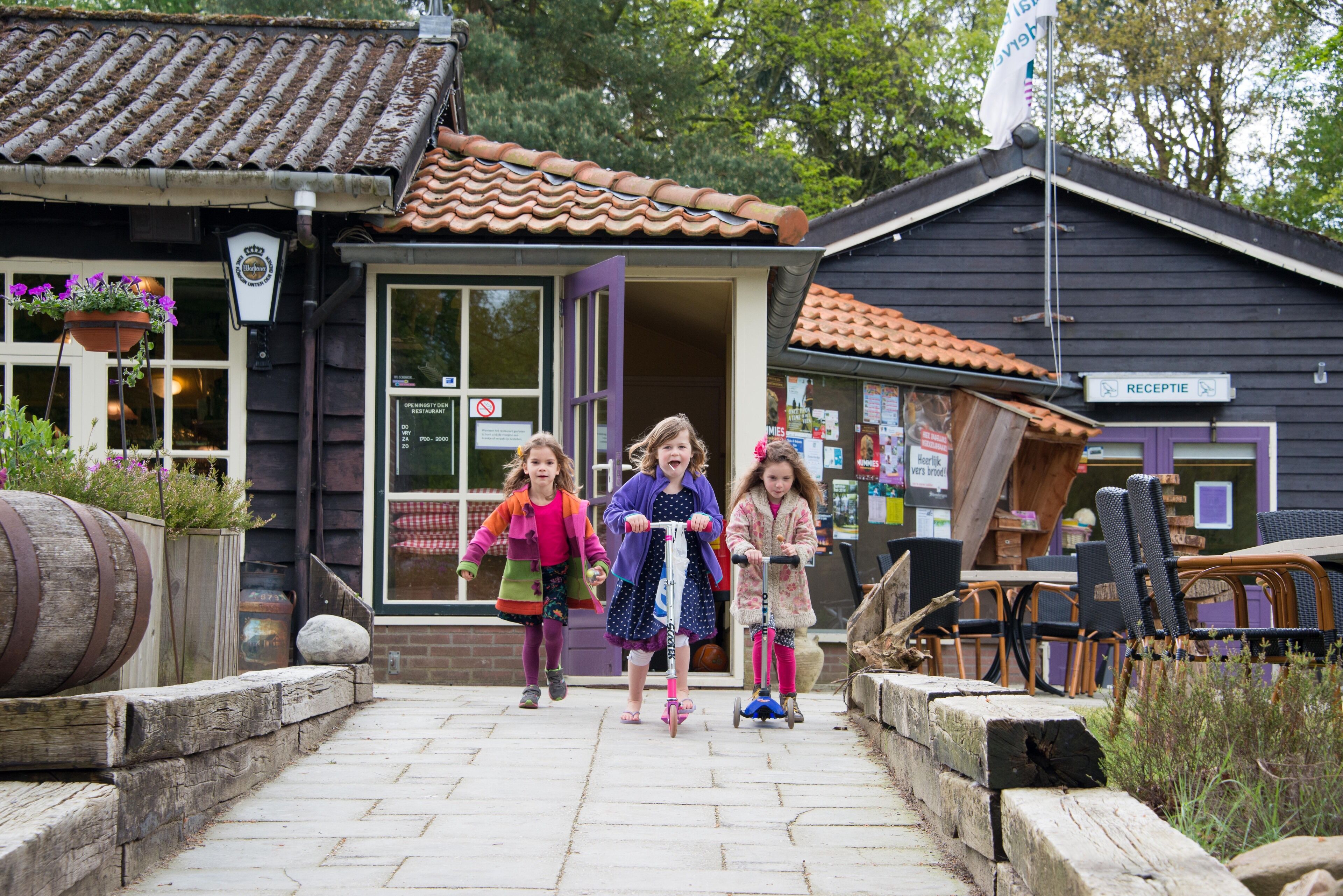 منطقة الاستقبال