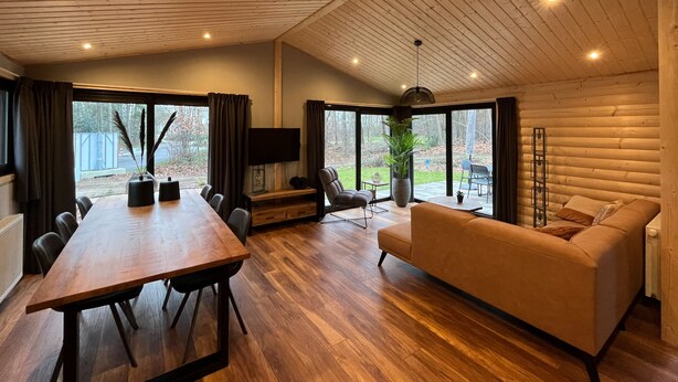 A spacious living area with a wooden ceiling, a large window, a sofa, a dining table, and a TV.