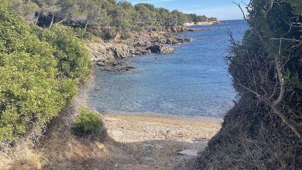 A coastal path with rocky terrain and dense vegetation.