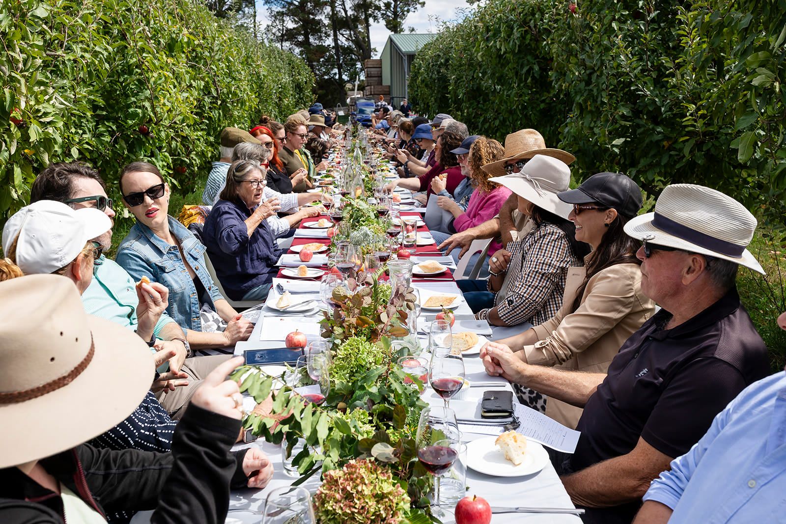 Un groupe de personnes est assis autour d’une longue table à l’extérieur et partage un repas composé de différents plats et boissons.