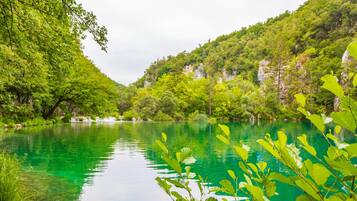Un lago tranquilo rodeado de abundante vegetación y acantilados rocosos.