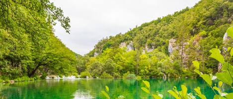 A serene lake surrounded by lush greenery and rocky cliffs.