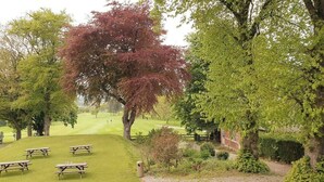 A grassy area with picnic tables and a red-leaved tree.