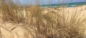 New furnished apartment with on-site parking: living room plus two bedrooms