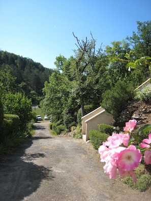 A gravel driveway leading to a building surrounded by lush greenery and trees.