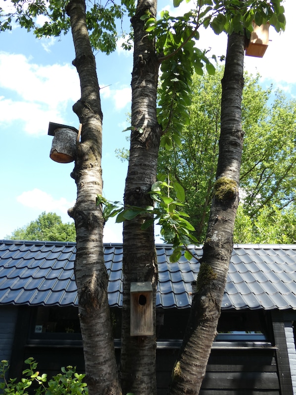 Details aan de buitenkant