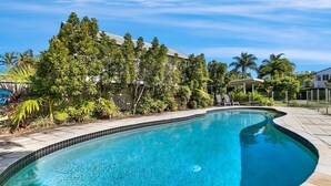 A swimming pool with a curved edge, surrounded by a tiled deck and lush greenery. - Driftwood 5 Noosaville (Noosaville)