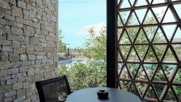 Junior Suite | View from room