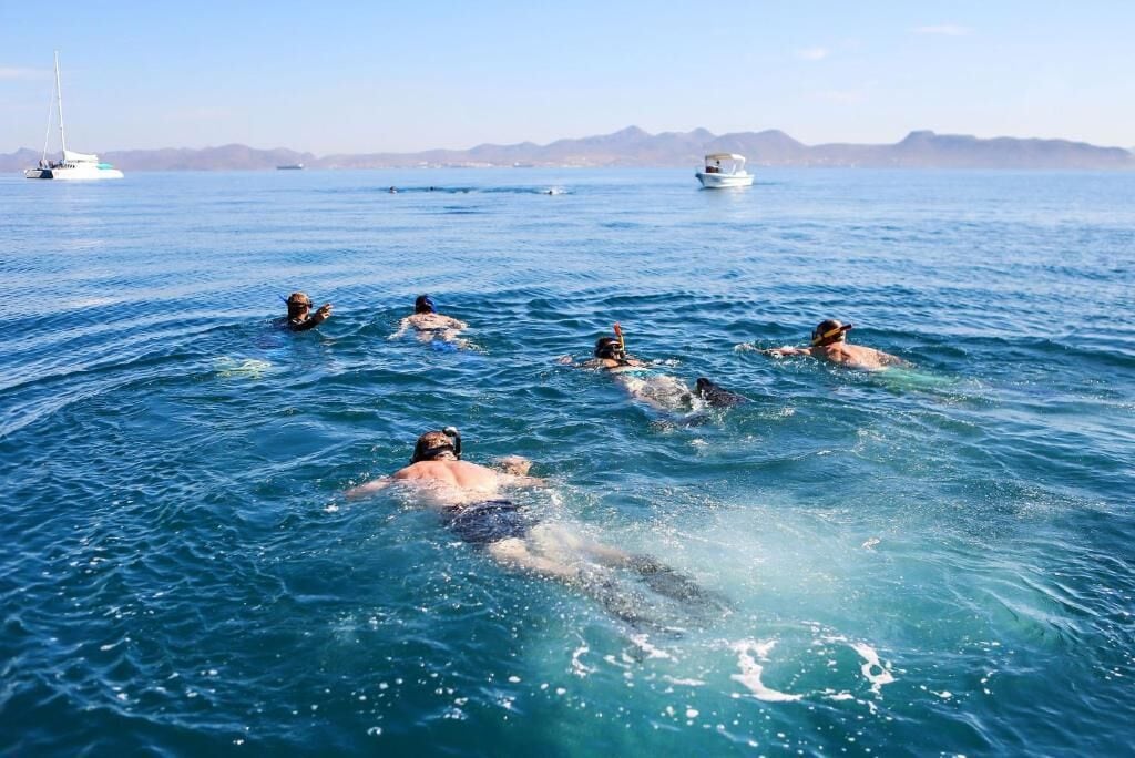 ビーチ、白砂、ビーチタオル