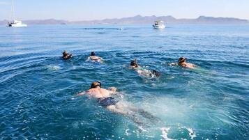 位於海灘上、白沙、海灘浴巾