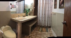 Ensemble douche/baignoire, sèche-cheveux, serviettes fournies, savon