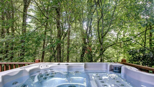 Un bain à remous entouré d’une forêt dense.