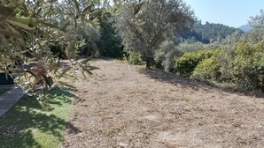 Um jardim com grama e cobertura de cascalho, rodeado por árvores e arbustos diversos.