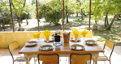 Villa au coeur du LUBERON avec piscine et grand jardin clos et arboré