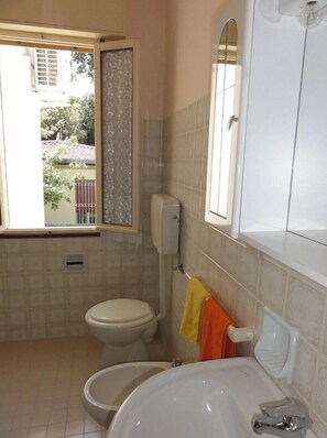Regadera, toallas, jabón, papel de baño