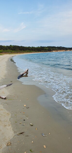 Una playa con arena, un tronco caído y olas suaves.