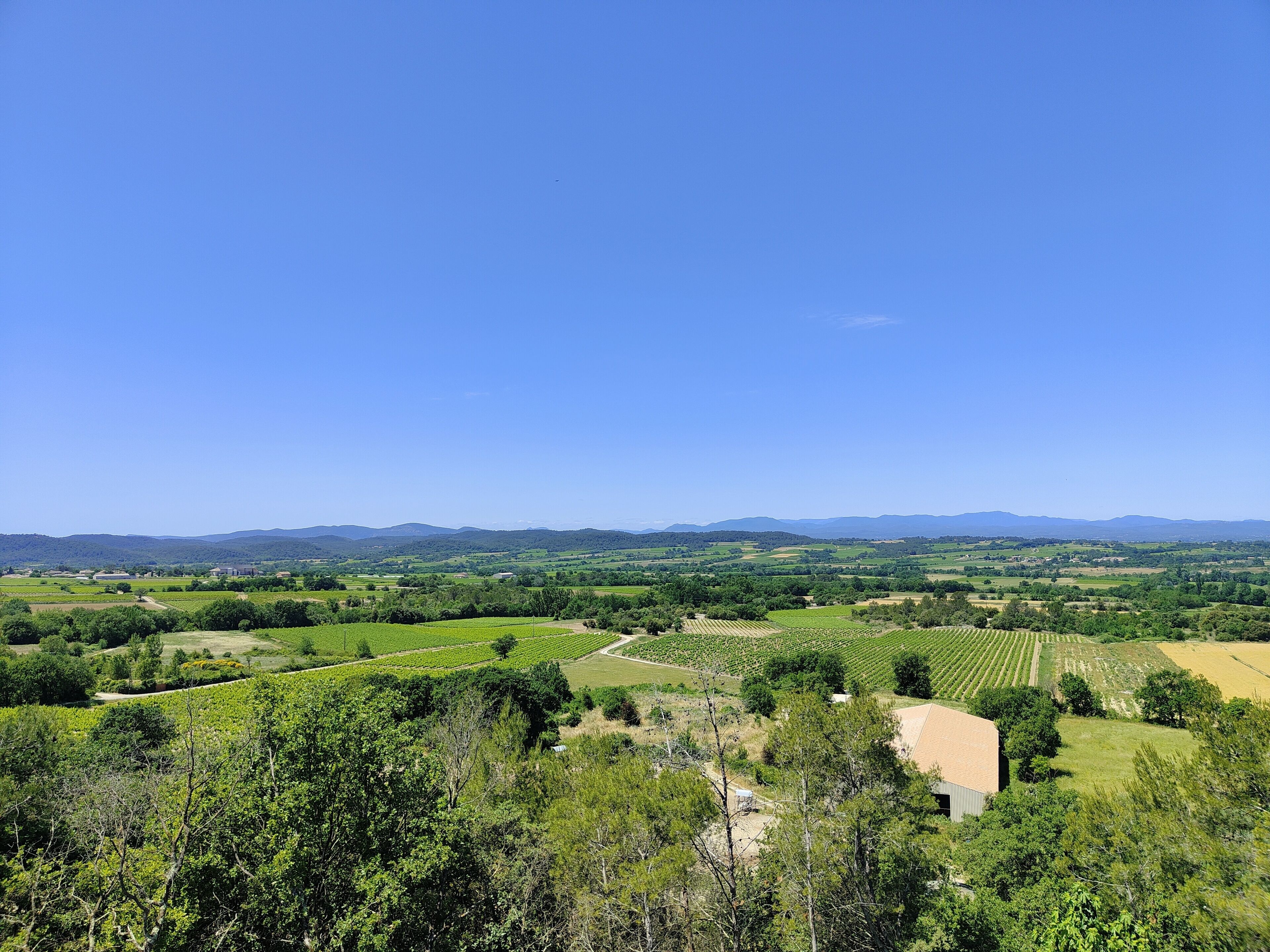 A vineyard landscape with rolling hills, a clear sky, and a building in the foreground.