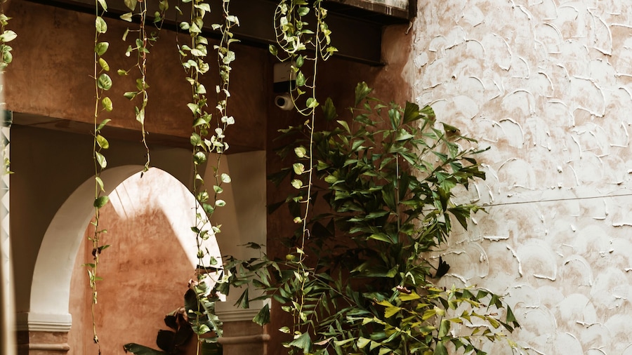 Cigno Hotel (Adults Only)