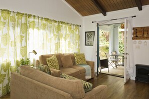 TV connectée, cheminée, livres