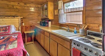 Cabin 1 — Cozy King Cabin in the Pines