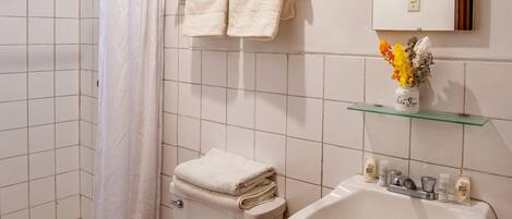 A bathroom with a toilet, a shower, a sink, and a mirror.