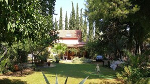 Un jardín con una casa, césped y un trípode.
