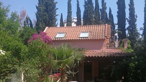 Una casa con techo de tejas, rodeada de un jardín con diversas plantas y una palmera.