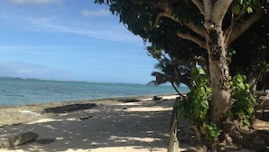 Una spiaggia sabbiosa con un albero e un palo di legno.