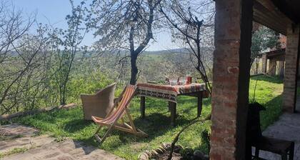 Authentic & stylish Bungalow and Artists residence in Kakheti, 2 km from Signagi