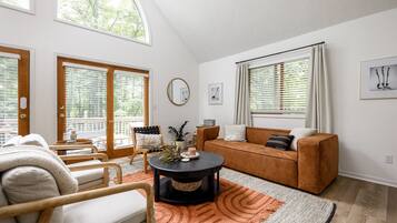 TV connectée, cheminée, livres, chaßne hi-fi