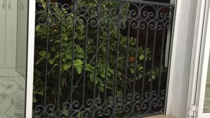 A balcony with a metal railing and a potted plant. - New furnished apartment with on-site parking  (Site archéologique de Carthage)