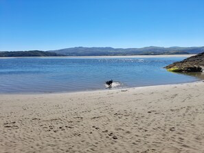 Beach - Bryn Derfel (Porthmadog)