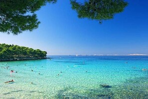 Ein tiefblaues Meer mit Schwimmern und einer küstennahen Baumreihe.