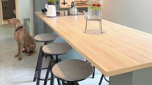 Une cuisine moderne avec un îlot central en bois, des tabourets de bar, un luminaire suspendu et un chien en arrière-plan.