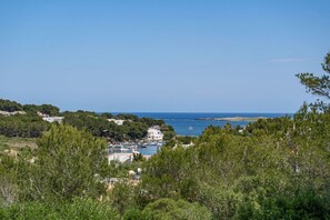 Miscellaneous - Magnificent Villa Luminosa- private pool and views (Port d`Addaia)