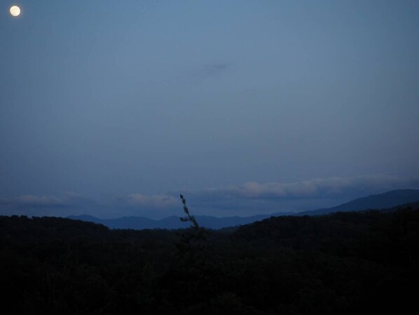 A night scene with a full moon, a silhouette of a tree, and a mountain range in the background.