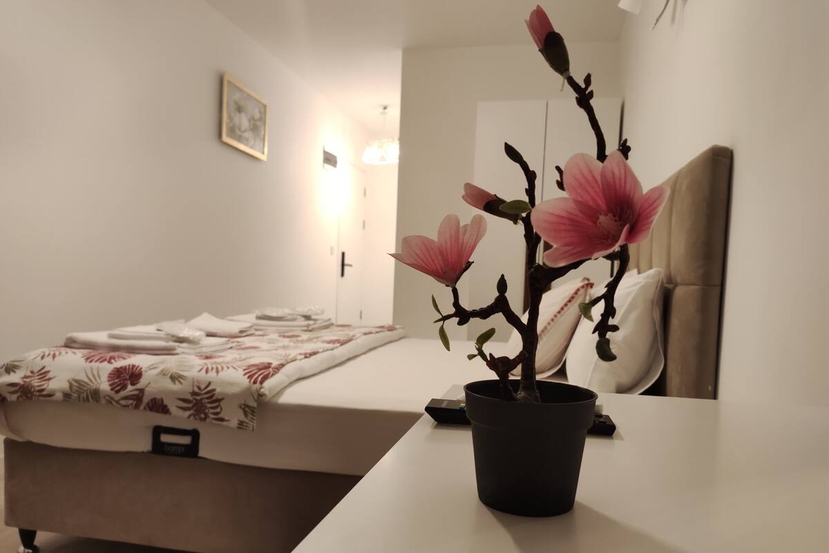A hotel room with a bed, a bedside table with a potted plant, a mirror, and a door.